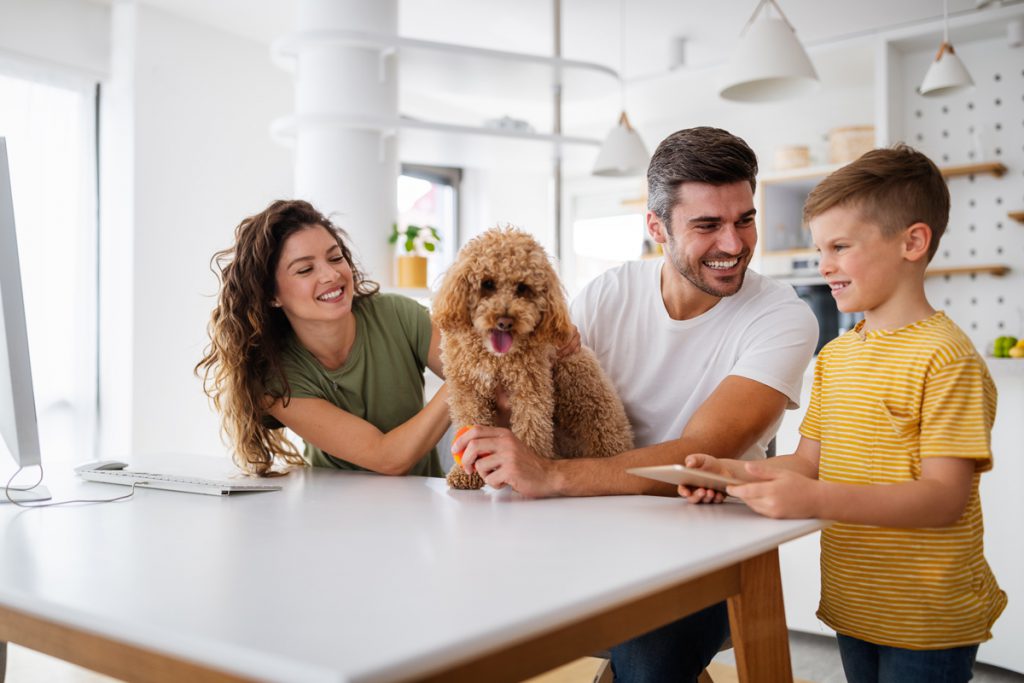Happy family in modern kitchen